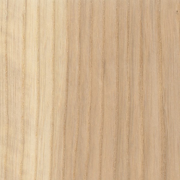 Wood_Species_Ash