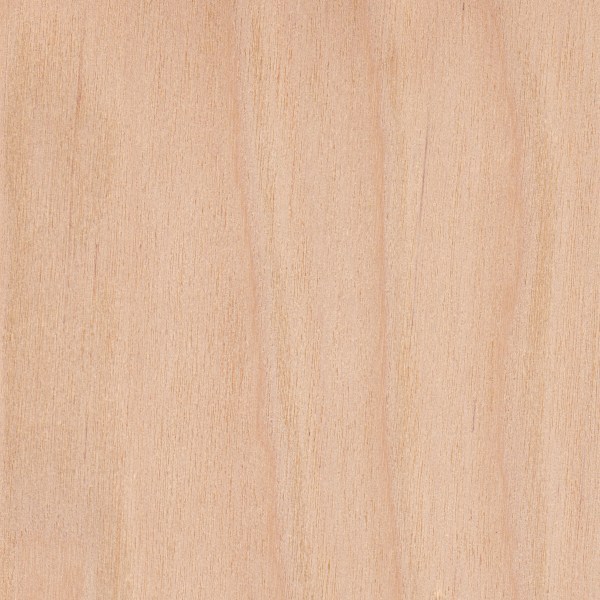 Wood_Species_Birch_Yellow