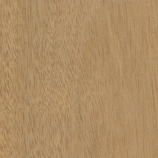 Wood_Species_Mahogany_Honduran