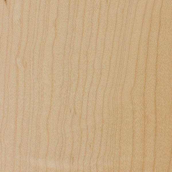 Wood_Species_Maple_Hard_02