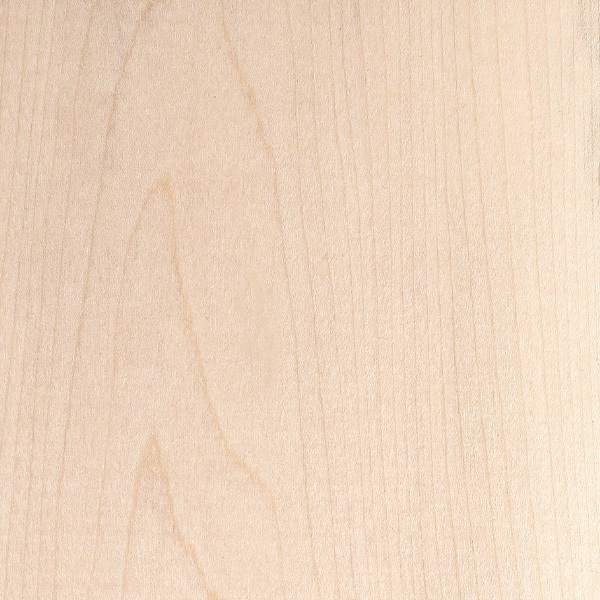 Wood_Species_Maple_Soft_02