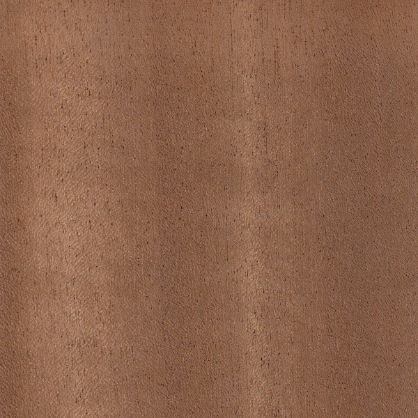 Wood_Species_Walnut