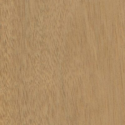 Mahogany Honduran